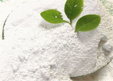 China Pigmento branco inodoro do Rutile do dióxido Titanium, pigmento industrial da categoria Tio2 fornecedor